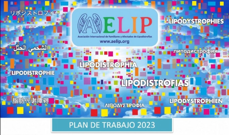 Die AELIP arbeitet bereits an ihrem Arbeitsplan für 2023.