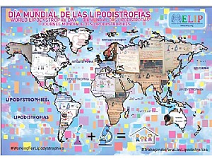 20 países celebram o DIA MUNDIAL DA LYPODISTROFIA 2020