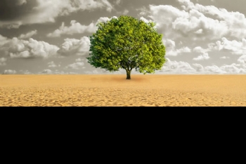 MEDIOAMBIENTE Y CAMBIO CLIMÁTICO MEDIOAMBIENTE Y CAMBIO CLIMÁTICO