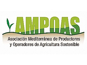 INICIO DE 2ª VISITA DE ASESORAMIENTO