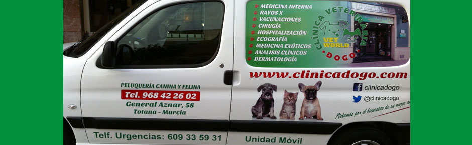 CLINICA VETERINARIA DOGO