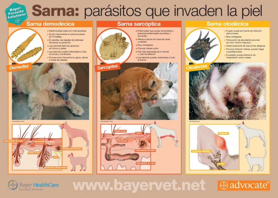 DERMATOLOGIA DERMATOLOGIA