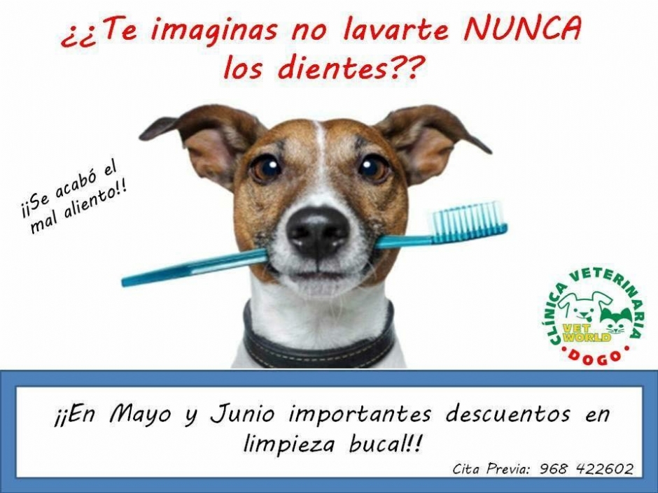 CAMPAÑA SALUD BUCODENTAL MAYO Y JUNIO