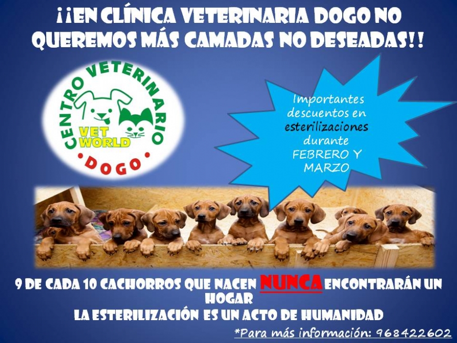 CAMPAÑA ESTERILIZACIÓN FEBRERO Y MARZO