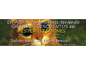 CAMPAÑA ESTERILIZACIÓN MES DE ABRIL