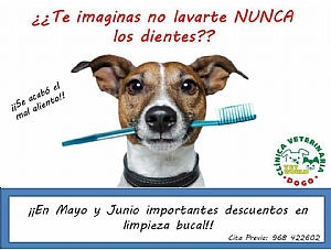 CAMPAÑA SALUD BUCODENTAL MAYO Y JUNIO