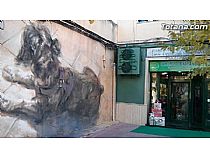 Se presenta la obra mural “Miko” en Clínica Veterinaria Dogo - Foto 1
