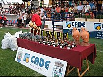 VI Torneo Inf. Ciudad Totana 2007 - Foto 14