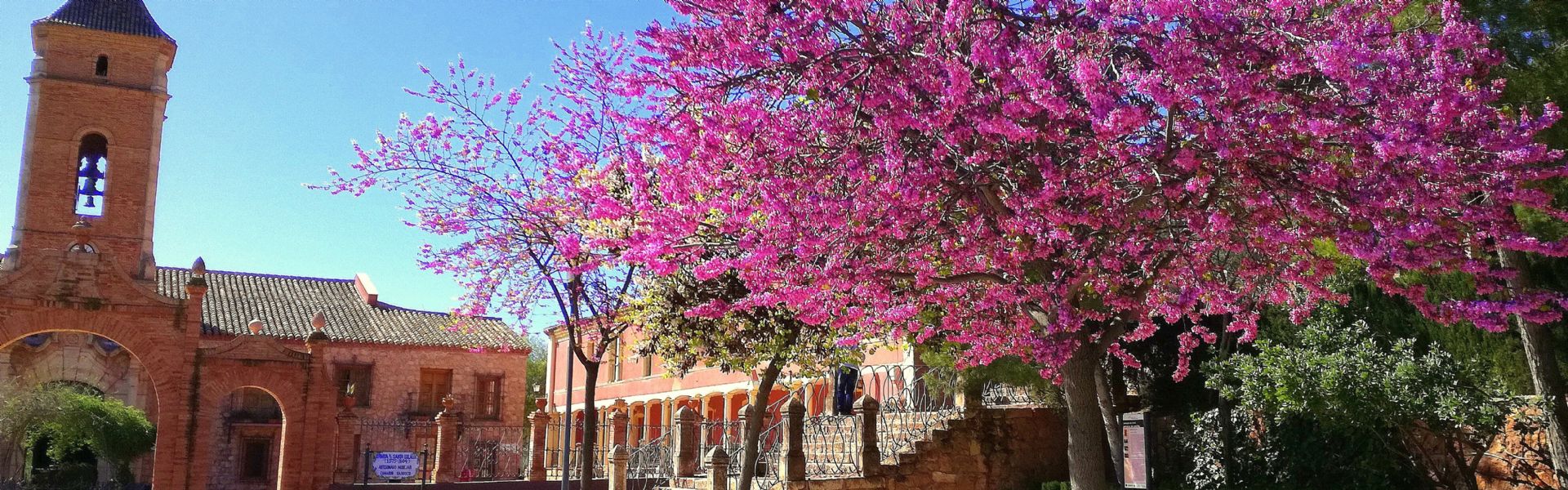 Espubike Challenge Race