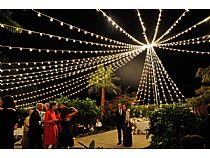 Luces en Boda de noche en Siempre Verde