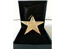 Estrella de Oro a La Excelencia Profesional - Foto 9