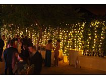 Iluminación para Bodas y Eventos - Foto 106