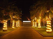 Iluminación para Bodas y Eventos - Foto 47