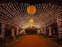 Iluminación para Bodas y Eventos - Foto 25