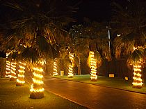 Iluminación para Bodas y Eventos - Foto 28