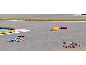 Automodelismo Radio control Balsicas 9 mayo