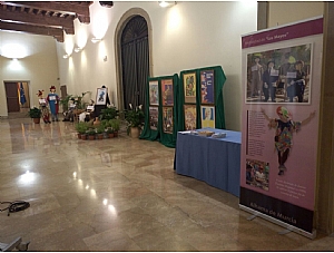 Inaugurada la exposición sobre Los Mayos en el Palacio de San Esteban