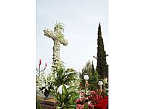 Cruces de Mayo - Foto 10