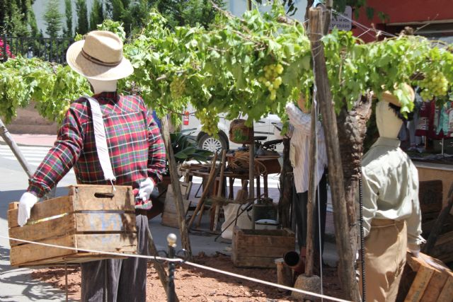 Plantada de mayos 2017 - 46