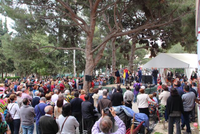 Plantada de mayos 2016 - 72