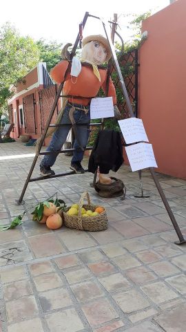 Plantada de Mayos 2020 - 28