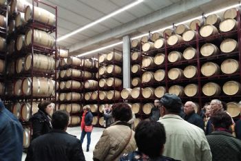 VIAJE DE LA HERMANDAD A JUMILLA ( BODEGAS JUAN GIL) 