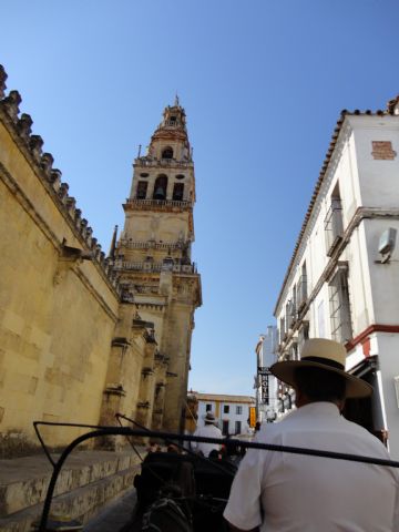 REPORTAJE FOTOGRÁFICO VIAJE A CÓRDOBA (OCTUBRE 2011) - 52