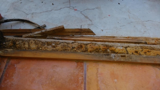 Daño provocado por termitas en carpintería