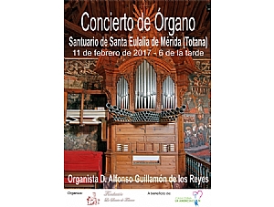 Concierto de Órgano por D. Alfonso Guillamón de los Reyes.