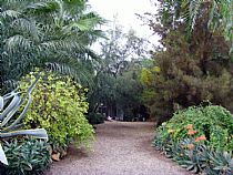 Nuestro Criadero - Foto 1
