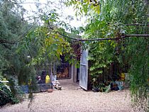 Nuestro Criadero - Foto 3