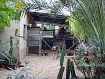 Nuestro Criadero - Foto 6