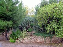 Nuestro Criadero - Foto 7