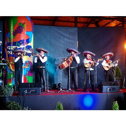 Mariachi Garibaldi en Murcia - Foto 1