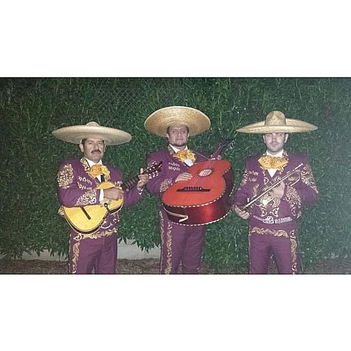 Mariachi Garibaldi en Murcia - Foto 10