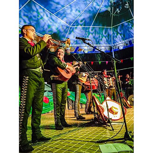 Mariachi Garibaldi en Alicante - Foto 5