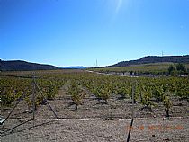 Viaje a Jumilla de la Hermandad de Santa María Salomé y Ecce Homo - Foto 33