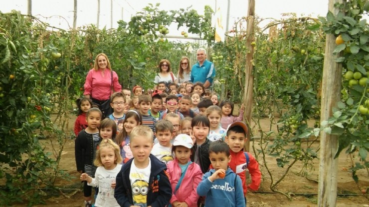 Los alumnos/as de 4 años de infantil del CEIP FRANCISCO CAPARRÓS han visitado un invernadero de tomates en Mazarrón