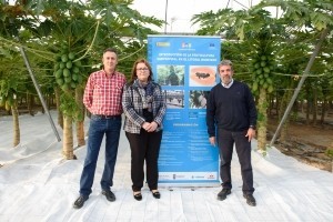 Mazarrón acoge una jornada técnica sobre el cultivo de frutas tropicales en el litoral murciano 