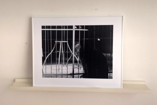 Éxito en la exposición 'Vida de circo' de José Manuel Ureña en la sala 'La Polaroid' de Cádiz
