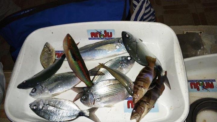 El segundo social del Club de Pesca Puerto de Mazarrón se disputó en Bolnuevo