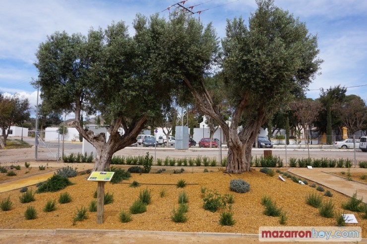 Mazarrón cuenta con un nuevo espacio de educación medioambiental 