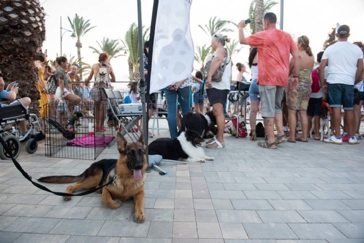 FAMAS FEST divierte a centenares de familias junto a sus mascotas