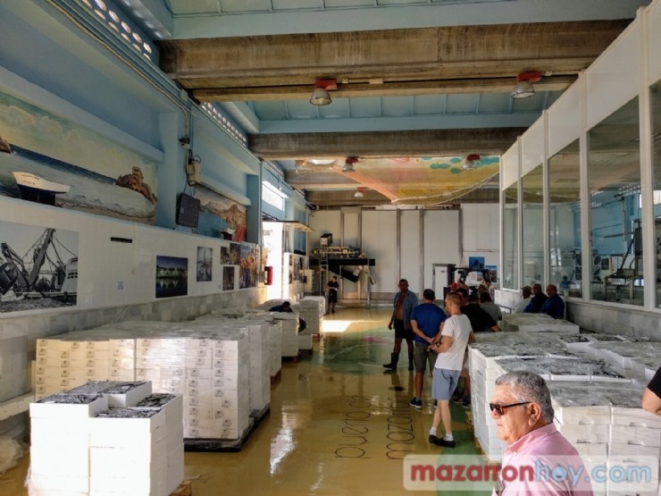 El Puerto de Mazarrón acoge el 22 y 23 de agosto las jornadas ‘Mola mola’ del proyecto CAMONMAR2 para dar a conocer el patrimonio natural, cultural y pesquero