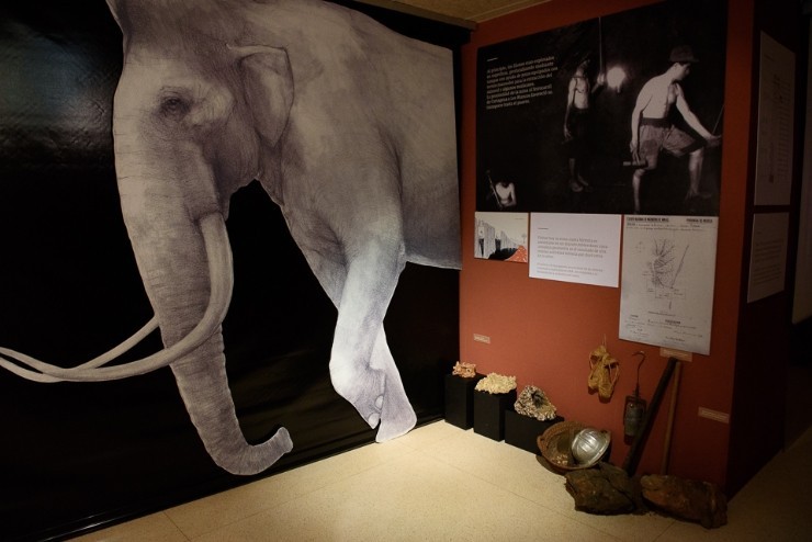 La exposición sobre Cueva Victoria se podrá ver hasta el 16 de abril en el Museo Factoría 