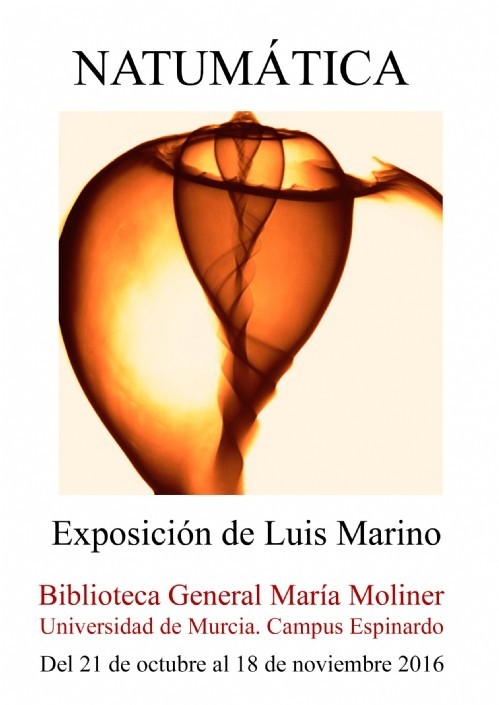 LUIS MARINO EXPONE EN LA BIBLIOTECA MARÍA MOLINER DE LA UNIVERSIDAD DE MURCIA