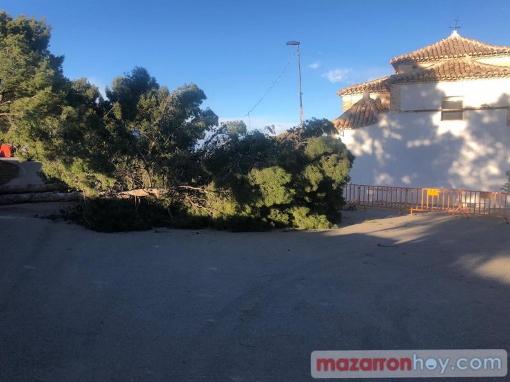 El fuerte viento provoca la caída de árboles y ramas en varias localizaciones del municipio