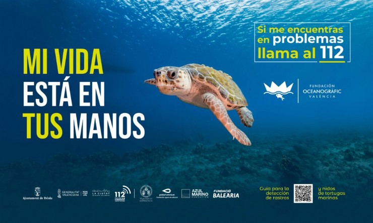 Mazarrón se adhiere a la campaña 'Tortugas en el Mediterráneo'