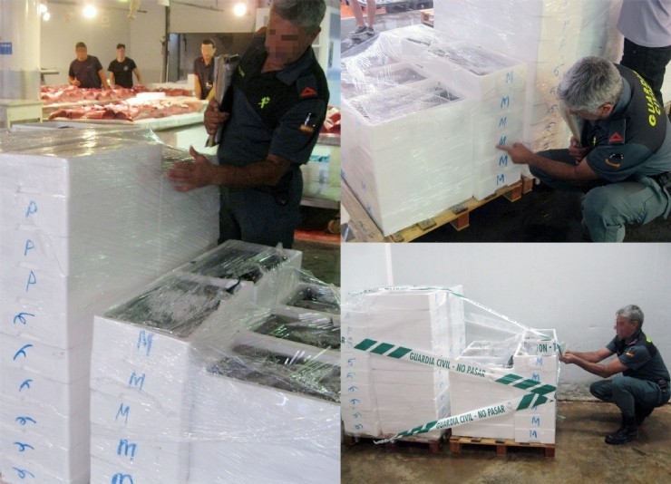 La Guardia Civil decomisa cerca de media tonelada de pescado sin etiquetar 