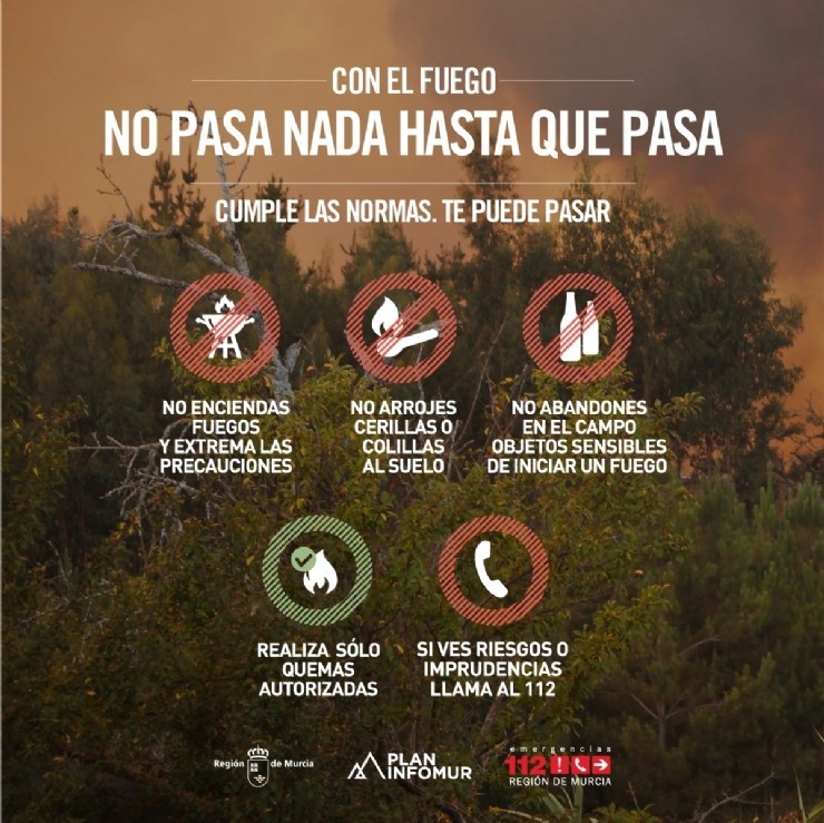 El nivel de riesgo de incendios forestales es hoy extremo en casi toda la Región
